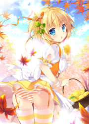 Rule 34 | 1girl, apron, autumn leaves, basket, blonde hair, blouse, blue eyes, blue sky, blush, bow, cameltoe, cloud, cloudy sky, commentary request, cowboy shot, day, falling leaves, fingernails, flower, food, food-themed hair ornament, fruit, garter straps, hair between eyes, hair flower, hair ornament, hair ribbon, head tilt, highres, holding, holding basket, holding food, lace, lace-trimmed legwear, lace-trimmed skirt, lace trim, leaf, leaf hair ornament, lemon, lemon hair ornament, looking at viewer, mikeou, orange ribbon, original, outdoors, panties, parted lips, puffy short sleeves, puffy sleeves, ribbon, shirt, short hair, short sleeves, skirt, sky, solo, standing, striped clothes, striped panties, striped thighhighs, thighhighs, underbust, underwear, waist apron, white apron, white bow, white shirt, yellow bow, yellow skirt