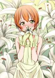Rule 34 | 10s, 1girl, blush, brown hair, covering own mouth, covering privates, dress, flower, gloves, green eyes, hoshizora rin, kosuke haruhito, lily (flower), looking at viewer, love live!, love live! school idol festival, love live! school idol project, orange hair, own hands together, short hair, solo, standing, yellow dress, yellow gloves