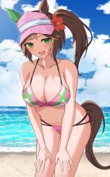 Rule 34 | 1girl, absurdres, alternate costume, animal ears, bikini, blush, breasts, cleavage, collarbone, commentary request, commission, flower, freckles, hair flower, hair ornament, highres, horse ears, horse girl, horse tail, ines fujin (umamusume), large breasts, newon, open mouth, pixiv commission, sky, swimsuit, tail, umamusume, visor cap