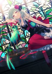 Rule 34 | 1girl, achiki, bad id, bad twitter id, bare shoulders, bird, birdcage, cage, character request, dutch angle, flower, grey hair, hair flower, hair ornament, looking at viewer, parted lips, red eyes, red thighhighs, sitting, skirt, smile, solo, stained glass, thighhighs