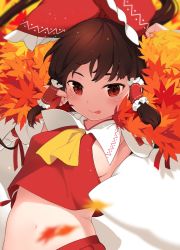 Rule 34 | 1girl, armpits, autumn leaves, black hair, blush, bow, breasts, closed mouth, crop top, detached sleeves, hair bow, hair tubes, hakurei reimu, highres, looking at viewer, navel, no bra, red bow, red eyes, red skirt, saryuu (iriomote), sidelocks, skirt, skirt set, small breasts, smile, solo, tongue, tongue out, touhou, upper body