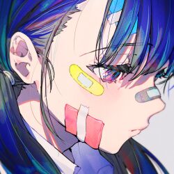 Rule 34 | 1girl, bandaid, bandaid on cheek, bandaid on face, bandaid on nose, black hair, blue hair, blush, closed mouth, commentary request, grey background, hair between eyes, half-closed eyes, highres, long hair, mika pikazo, multicolored hair, original, portrait, profile, purple eyes, shirt, simple background, solo, white shirt