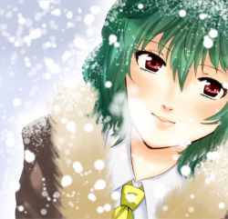 Rule 34 | 1girl, bad id, bad pixiv id, bajinappo, blush, coat, female focus, from above, fur-lined, fur trim, green hair, kazami yuuka, light smile, lips, looking up, portrait, red eyes, snow, solo, touhou