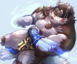 Rule 34 | 1boy, ainu clothes, animal ears, artist request, bara, blue fire, bulge, chest hair, dutch angle, feet out of frame, fire, flaming hand, frown, furry, furry male, grey fur, grey hair, headband, horkeu kamui, large pectorals, male focus, muscular, muscular male, pectorals, pelvic curtain, short hair, sideways glance, solo, standing, thighs, tokyo houkago summoners, two-tone fur, wolf boy, wolf ears, yellow eyes
