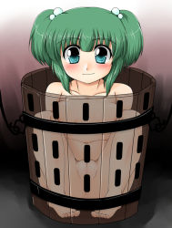 Rule 34 | 1girl, akatuki (yamina), aqua eyes, blush, bucket, female focus, full body, gradient background, green hair, in bucket, in container, kisume, nude, pussy, short hair, solo, touhou, transparent, twintails