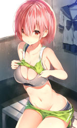 Rule 34 | 1girl, alternate costume, bare shoulders, bench, bike shorts, blue sailor collar, blush, bra, breasts, brown eyes, casual, cleavage, closed mouth, collarbone, commentary request, fate/grand order, fate (series), groin, hair over one eye, indoors, large breasts, looking at viewer, mash kyrielight, medium breasts, midriff, navel, pink hair, sailor collar, school uniform, serafuku, shiny skin, shirt, unworn shirt, short hair, shorts, sitting, solo, sports bra, stomach, sune (mugendai), sunlight, sweat, tank top, underwear, white shirt, window