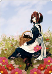 Rule 34 | 1girl, apron, bad id, bad pixiv id, basket, blue eyes, boots, bow, brown hair, cat, field, flower, flower field, large bow, looking back, maid, maid apron, maid headdress, original, rounded corners, short hair, siro (asteblanc), sitting, solo