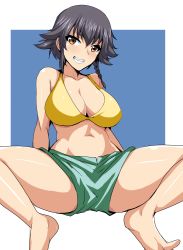 Rule 34 | 10s, 1girl, bikini, bikini shorts, black hair, blush, braid, breasts, brown eyes, female focus, girls und panzer, hifumi hajime, highres, large breasts, looking at viewer, navel, pepperoni (girls und panzer), shorts, simple background, smile, solo, spread legs, swimsuit