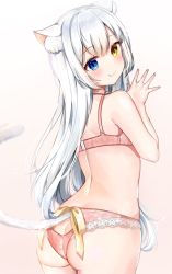 Rule 34 | 1girl, animal ear fluff, animal ears, ass, ass cutout, back, blue eyes, blush, bow, bra, breasts, cat ears, cat girl, cat tail, choker, clothing cutout, fang, from behind, gradient background, heterochromia, highres, katsushika pachi, keyhole panties, lace, lace-trimmed panties, lace trim, lingerie, long hair, looking at viewer, looking back, original, panties, pink bra, pink panties, silver hair, simple background, skin fang, smile, solo, tail, underwear, underwear only, yellow bow, yellow eyes