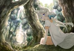 Rule 34 | 1girl, animal ears, blue eyes, character request, day, fang, forest, fox ears, fox tail, hair ribbon, light trail, long hair, looking back, mikurou (nayuta), nature, open mouth, original, outdoors, ponytail, ribbon, scenery, short sleeves, sitting, smile, solo, tail, tree, white hair