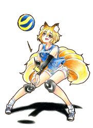 Rule 34 | 1girl, adapted costume, alternate costume, animal ear fluff, animal ears, ball, blonde hair, blouse, blue shirt, collarbone, contemporary, eyelashes, fox ears, fox tail, full body, goku (acoloredpencil), gokuu (acoloredpencil), half-closed eyes, highres, knee pads, knees together feet apart, legs apart, lower teeth only, multiple tails, no headwear, open mouth, playing sports, shadow, shirt, shoes, short hair, short shorts, shorts, simple background, sleeveless, sleeveless shirt, sneakers, socks, solo, tail, teeth, touhou, traditional media, volleyball, volleyball (object), white background, white socks, yakumo ran, yellow eyes