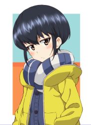 Rule 34 | 1girl, alternate hair length, alternate hairstyle, black hair, blue cardigan, blue scarf, blush, brown eyes, cardigan, casual, closed mouth, coat, commentary request, frown, girls und panzer, hood, hood down, hooded coat, kayabakoro, looking at viewer, no hairband, outside border, reizei mako, scarf, short hair, solo, striped clothes, striped scarf, upper body, winter clothes, yellow coat