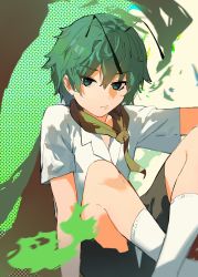 Rule 34 | 1girl, absurdres, androgynous, antennae, black shorts, brown cape, cape, closed mouth, collared shirt, commentary, feet out of frame, green eyes, green hair, highres, kinoko (kino2435006), knees up, looking at viewer, reverse trap, shirt, short hair, short sleeves, shorts, sitting, socks, solo, touhou, white shirt, white socks, wriggle nightbug