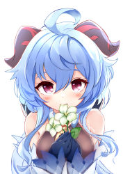 Rule 34 | 1girl, absurdres, ahoge, bare shoulders, black gloves, blue hair, blush, bodysuit, breasts, brown bodysuit, closed mouth, commentary request, cowbell, curled horns, eating, eyebrows hidden by hair, flower, ganyu (genshin impact), genshin impact, gloves, hair between eyes, hands up, highres, holding, holding flower, horns, long hair, long sleeves, looking at viewer, medium breasts, purple eyes, simple background, sleeves past wrists, solo, sota, upper body, white background, white flower, wide sleeves