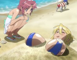 Rule 34 | 2girls, age difference, animal, beach, bikini, blonde hair, blush, breasts, buried, clam, dog, closed eyes, feet, female focus, flip-flops, highschool of the dead, huge breasts, maresato alice, marikawa shizuka, multiple girls, ocean, open mouth, outdoors, sand, sandals, screencap, short hair, smile, stitched, swimsuit, third-party edit, water, zeke (highschool of the dead)