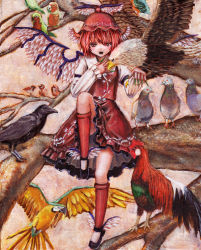 Rule 34 | 1girl, animal, animal on arm, bird, bird on arm, bird wings, blush, brown eyes, chicken, crow, dove, dress, eagle, fingernails, frills, full body, hand on own chest, hat, head wings, in tree, juliet sleeves, kabaji, long fingernails, long sleeves, looking at viewer, mystia lorelei, nail, nail polish, oil painting (medium), open mouth, painting (medium), parrot, pigeon, pink hair, puffy sleeves, red thighhighs, shirt, shoes, short hair, sitting, sitting in tree, smile, solo, sparrow, thighhighs, touhou, traditional media, tree, white shirt, wings