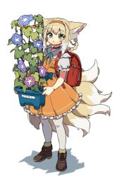 Rule 34 | 1girl, alternate costume, animal ears, arknights, backpack, bag, blush, braid, brown footwear, commentary, dress, fox ears, fox girl, fox tail, frilled dress, frills, full body, green eyes, hairband, highres, holding, holding plant, kitsune, kyuubi, looking at viewer, multiple tails, orange dress, orange hairband, plant, potted plant, randoseru, red bag, shadow, short hair with long locks, simple background, solo, standing, suzuran (arknights), suzuran (let&#039;s carnival!) (arknights), tail, thighhighs, vegetable noda, white background, white thighhighs