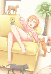 Rule 34 | 10s, 1girl, bad id, bad pixiv id, barefoot, cat, couch, dararito, feet, fur trim, highres, hoshizora rin, legs, love live!, love live! school idol project, lying, necktie, on back, open mouth, orange hair, pom pom (clothes), ribbon, scrunchie, short hair, solo, yellow eyes, yellow upholstery