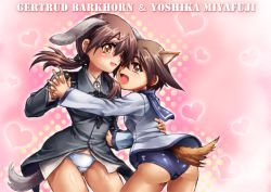 Rule 34 | 2girls, animal ears, brown eyes, brown hair, cat ears, cat tail, dog ears, gertrud barkhorn, hug, long hair, military, military uniform, miyafuji yoshika, mo-ai, multiple girls, one-piece swimsuit, panties, sailor, school swimsuit, strike witches, swimsuit, swimsuit under clothes, tail, twintails, underwear, uniform, world witches series
