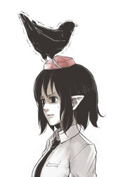 Rule 34 | 1girl, animal, animal on head, bird, bird on head, black eyes, black hair, black necktie, breasts, collared shirt, crow, hat, highres, looking to the side, medium breasts, necktie, on head, open mouth, peroponesosu., pocket, pointy ears, red hat, shaded face, shameimaru aya, shirt, short hair, short sleeves, sidelocks, simple background, solo, sweatdrop, tokin hat, touhou, trembling, white background, white shirt, wing collar, wings