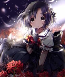 Rule 34 | 1girl, back bow, bad id, bad pixiv id, black bow, black dress, black gloves, black ribbon, blush, bow, brown eyes, cross-laced clothes, crying, crying with eyes open, dot nose, dress, feathers, field, flower, flower field, gloves, hairband, hand on lap, hand on own chest, huge bow, idolmaster, idolmaster cinderella girls, idolmaster cinderella girls starlight stage, lace-trimmed bow, lace-trimmed sailor collar, lace trim, light rays, lolita hairband, looking at viewer, parted bangs, parted lips, puffy short sleeves, puffy sleeves, purple hair, red bow, red ribbon, ribbon, sailor collar, shiragiku hotaru, short hair, short sleeves, sitting, solo, spider lily, sunbeam, sunlight, tears, uguisu mochi (ykss35), white sailor collar