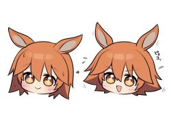 Rule 34 | + +, 1girl, :&gt;, :d, animal ears, arrow (symbol), blush, brown eyes, closed mouth, commentary request, flying sweatdrops, hair between eyes, head only, highres, horse ears, matikanefukukitaru (umamusume), mei (meimyan), multiple views, open mouth, orange hair, simple background, smile, translation request, umamusume, white background
