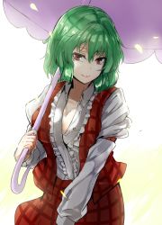 Rule 34 | 1girl, arm strap, ascot, bloom, breasts, cleavage, closed mouth, collarbone, commentary request, cowboy shot, green hair, hair between eyes, highres, juliet sleeves, kazami yuuka, large breasts, leaning forward, long sleeves, looking at viewer, open clothes, open vest, parasol, plaid, plaid skirt, plaid vest, puffy sleeves, red eyes, short hair, skirt, skirt set, smile, solo, touhou, umbrella, vest, y2