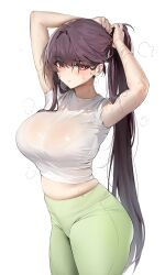 Rule 34 | 1girl, alternate costume, arms up, blush, breasts, closed mouth, crop top, damda, fate/grand order, fate (series), green pants, highres, large breasts, long hair, looking at viewer, pants, purple hair, raised eyebrow, red eyes, scathach (fate), shirt, short sleeves, simple background, sweat, thighs, tying hair, white background, white shirt
