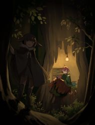 Rule 34 | 1boy, 1girl, animal ears, backlighting, bird girl, bird wings, blush, book, brown theme, bush, child, cloak, dark, dress, fantasy, feathered wings, feathers, forest, fur trim, highres, light, monster girl, nature, night, one eye closed, original, outdoors, presenting, reading, shadow, short dress, smile, standing, tail, tensen (dotted line), thighhighs, tree, tree house, winged arms, wings, wink