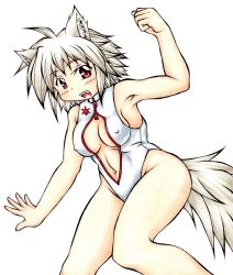 Rule 34 | 1girl, ahoge, animal ears, armpits, blush, breasts, covered erect nipples, fangs, front zipper swimsuit, groin, highres, inte (whitewolftail), inubashiri momiji, looking at viewer, meme attire, navel, no headwear, one-piece swimsuit, open mouth, red eyes, short hair, silver hair, simple background, solo, swimsuit, tail, touhou, white background, wolf ears, wolf tail
