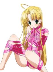 Rule 34 | 10s, 1girl, ahoge, asia argento, blonde hair, breasts, green eyes, high school dxd, long hair, mouth hold, naked ribbon, navel, pink ribbon, ribbon, ribbon in mouth, shiny skin, sitting, small breasts, solo, transparent background