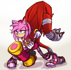 Rule 34 | 1boy, 1girl, amy rose, animal nose, artist request, back-to-back, furry, furry female, furry male, green eyes, hammer, hedgehog, hedgehog ears, holding, holding hammer, holding weapon, knuckles the echidna, looking at viewer, sega, sonic (series), sonic boom (series), weapon