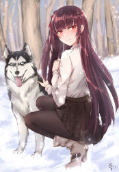 Rule 34 | 1girl, back, black pantyhose, blue eyes, blush, boots, dog, forest, girls&#039; frontline, highres, long hair, nature, outdoors, pantyhose, pleated skirt, purple eyes, purple hair, skirt, smile, snow, squatting, tongue, tongue out, very long hair, wa2000 (girls&#039; frontline), zhishi ge fangzhang