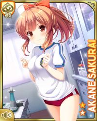 Rule 34 | 1girl, blouse, bow, brown eyes, brown hair, buruma, card (medium), closed mouth, day, girlfriend (kari), hair ornament, indoors, looking at another, nervous, official art, one eye closed, ponytail, qp:flapper, red bow, red buruma, sakurai akane (girlfriend), school uniform, shirt, white shirt, wink