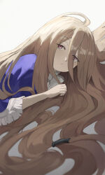 Rule 34 | 1girl, absurdly long hair, absurdres, artur link, blue capelet, bow, brown hair, capelet, commentary, hair between eyes, highres, long hair, looking at viewer, lying, on side, pink eyes, sense (sousou no frieren), simple background, solo, sousou no frieren, very long hair, white background, white bow