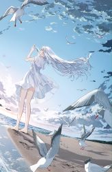 Rule 34 | 1girl, absurdres, bare legs, barefoot, beach, bird, blue sky, bottle, bow, bowtie, cloud, cloudy sky, day, dress, floating hair, flying, from behind, from below, gradient sky, highres, holding, holding bottle, long hair, looking ahead, message in a bottle, mountainous horizon, multicolored sky, ocean, orange sky, original, outdoors, reflection, reflective water, ribbon, sailor collar, seagull, sky, sleeveless, sleeveless dress, solo, standing, tngn96, white bow, white bowtie, white dress, white hair, white ribbon, white sailor collar, wind