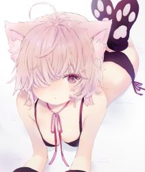 Rule 34 | 1girl, ahoge, animal ear fluff, animal ears, bare shoulders, black bra, black panties, black socks, blush, bra, breasts, cat ears, collarbone, commentary, english commentary, hair over one eye, highres, kneehighs, legs up, lying, neck ribbon, no shoes, on stomach, original, panties, parted lips, pink hair, pink ribbon, red eyes, ribbon, sha2mo, side-tie panties, small breasts, socks, soles, solo, underwear
