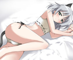 Rule 34 | 1girl, animal ears, artist request, bed, blush, cat ears, cat girl, cat tail, female focus, grey eyes, grey hair, lying, nyabe, on side, panties, sanya v. litvyak, side-tie panties, solo, strike witches, tail, underwear, white background, world witches series