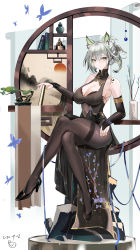 Rule 34 | 1girl, absurdres, alternate costume, animal ear fluff, animal ears, arknights, bare shoulders, black dress, black footwear, black pantyhose, blush, bonsai, book, breasts, bridal gauntlets, cat ears, cleavage, cleavage cutout, closed mouth, clothing cutout, collarbone, covered navel, crossed legs, dated, dress, faux figurine, folded fan, folding fan, full body, green eyes, hair ornament, hair stick, hand fan, high heels, highres, holding, holding fan, kal&#039;tsit (arknights), large breasts, looking at viewer, material growth, oripathy lesion (arknights), pantyhose, pelvic curtain, plant, potted plant, sabou san-shitsu kokoro, shelf, sitting, sleeveless, sleeveless dress, solo, thighband pantyhose, thighs, vase