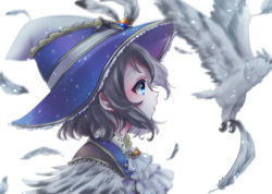 Rule 34 | 1girl, animal, ascot, bad id, bad pixiv id, bird, blue eyes, blue hat, feathers, from side, grey hair, hat, hat feather, love live!, love live! school idol festival, love live! sunshine!!, owl, profile, short hair, solo, upper body, watanabe you, white ascot, white background, white feathers, witch hat, wosusi