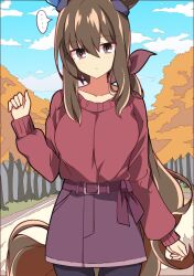 Rule 34 | ..., 1girl, admire vega (umamusume), alternate costume, alternate eye color, animal ears, autumn leaves, black thighhighs, blue sky, bow, breasts, brown eyes, closed mouth, cloud, cloudy sky, commentary request, cowboy shot, ear covers, highres, horse ears, horse tail, long hair, long sleeves, looking at viewer, medium breasts, outdoors, puffy sleeves, red bow, red sweater, single ear cover, sky, solo, spoken ellipsis, sweater, tail, thighhighs, umamusume, wahiko (black bastard)