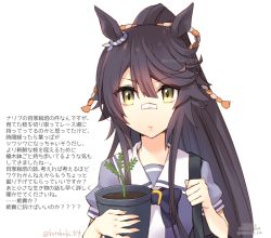 Rule 34 | 1girl, animal ears, black hair, closed mouth, expressionless, flower pot, holding, holding flower pot, holding pot, horse ears, horse girl, kotobuki (momoko factory), long hair, narita brian (umamusume), plant, ponytail, pot, potted plant, solo, translation request, twitter username, umamusume, upper body, yellow eyes
