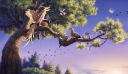 Rule 34 | 1girl, bird, bird on hand, bird tail, bird wings, blonde hair, brown footwear, commentary request, feathered wings, forest, from behind, highres, moon, multicolored hair, nature, niwatari kutaka, outdoors, red hair, satellitedragon, short hair, short sleeves, sitting, sitting on branch, solo, tail, touhou, tree, two-tone hair, wings, yellow wings