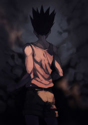 Rule 34 | 1boy, absurdres, black hair, clenched hand, cowboy shot, dark, from behind, gehirnkaefer, gon freecss, gradient background, highres, hunter x hunter, light, male focus, shorts, solo, spiked hair, tank top