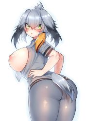 Rule 34 | 10s, 1girl, absurdres, ass, black hair, blush, breasts, breasts out, curvy, green eyes, grey hair, highres, kemono friends, large breasts, looking at viewer, looking back, nipples, open clothes, open shirt, osiimi, shirt, shoebill (kemono friends), simple background, solo, thick thighs, thighs, waifu2x, wide hips