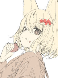 Rule 34 | 1girl, :t, animal ear fluff, animal ears, brown eyes, brown kimono, closed mouth, commentary request, eating, flower, food, food on face, fox ears, from side, hair between eyes, hair flower, hair ornament, hairclip, hand up, highres, holding, holding food, japanese clothes, kimono, light brown hair, looking at viewer, looking to the side, original, red flower, simple background, sketch, solo, white background, yuuji (yukimimi)