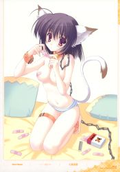 Rule 34 | 1girl, absurdres, animal ears, bandaid, bandaids on nipples, barefoot, blue panties, cat ears, cat tail, chain, feet, full body, highres, kneeling, leash, nanao naru, navel, panties, panties only, pasties, pillow, purple eyes, purple hair, seiza, short hair, sitting, solo, spread toes, striped clothes, striped panties, tail, toes, topless, underwear, underwear only