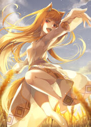 Rule 34 | 1girl, absurdres, animal ears, barefoot, blonde hair, commentary request, dress, fang, foreshortening, highres, holo, jumping, long hair, long sleeves, looking at viewer, mukunokino isshiki, open mouth, outdoors, red eyes, sky, solo, spice and wolf, tail, thighs, wheat field, white dress, wolf ears, wolf girl, wolf tail