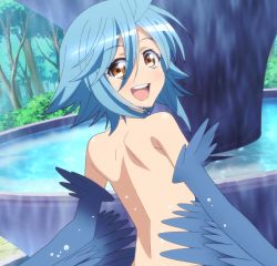 Rule 34 | 10s, 1girl, blue hair, blush, feathers, harpy, highres, monster girl, monster musume no iru nichijou, nude, open mouth, papi (monster musume), screencap, short hair, solo, stitched, tagme, third-party edit, wings, yellow eyes