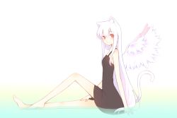 Rule 34 | 1girl, animal ear fluff, animal ears, bare arms, bare shoulders, barefoot, black dress, blush, breasts, cat ears, cat girl, cat tail, closed mouth, commentary request, dress, feathered wings, full body, hair between eyes, knee up, long hair, long legs, original, red eyes, sakurato ototo shizuku, shallow water, sitting, sleeveless, sleeveless dress, small breasts, smile, solo, tail, very long hair, water, white background, white hair, white wings, wings